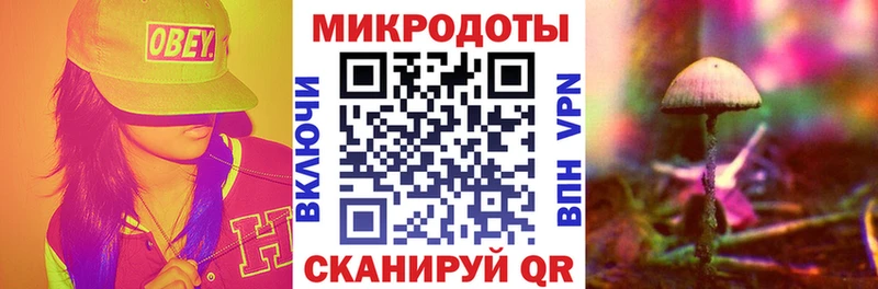 Галлюциногенные грибы Psilocybe  Великие Луки 